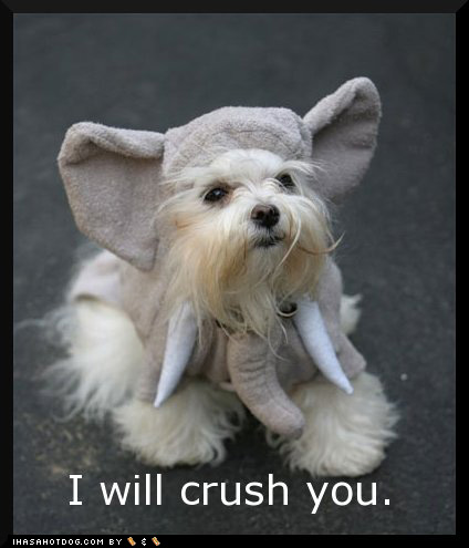 funny pictures of dogs in costumes. 14 Funny Dog Costumes on Sale